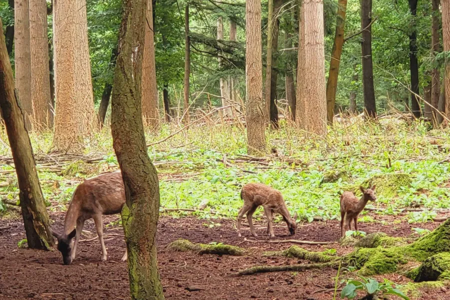 Whats App Image 2024 11 24 at 22 25 13